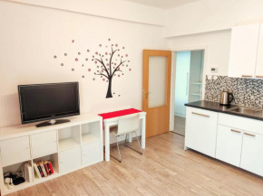 Гостиница Apartment Žižkov  Прага